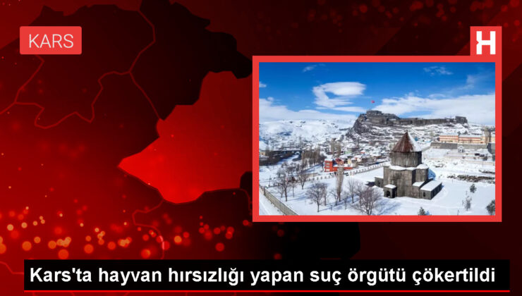 Kars’ta hayvan hırsızlığı yapan cürüm örgütüne operasyon: 4 tutuklama