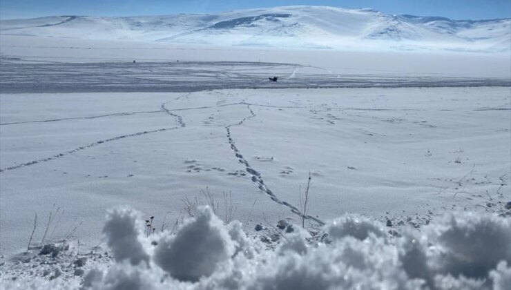 Ardahan ve Kars’ta Çıldır Gölü’nde Atlı Kızak Heyecanı