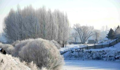 Kars’ta Soğuk Hava Tesiriyle Ağaçlar Kırağı Tutarak Beyaza Büründü